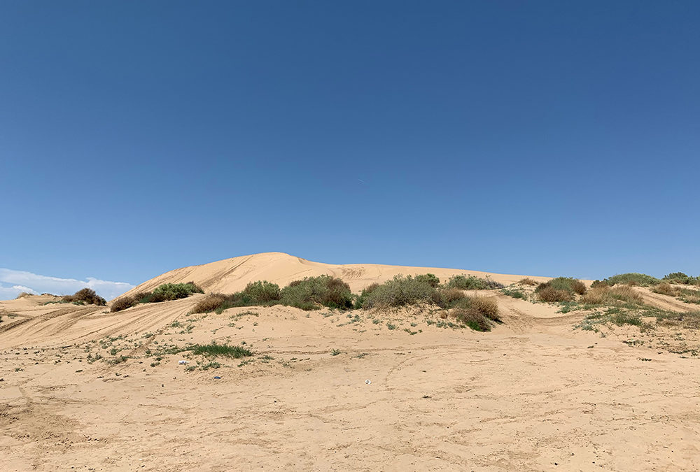 Deserts
