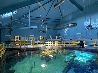 Aquarium